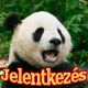 Jelentkezés kínai nyelvtanfolyamra!