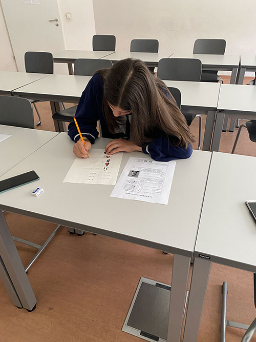 罗兰大学孔子学院举办YCT考试